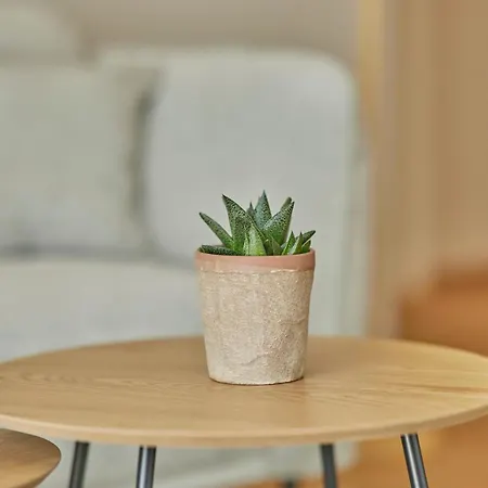 Neu!!! Moselbleibe Weingartenhaus Bernkastel-Kues