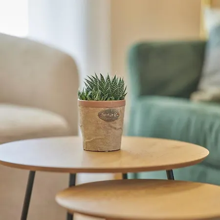 Neu!!! Moselbleibe Weingartenhaus Appartement Commune fusionnée de Bernkastel-Kues